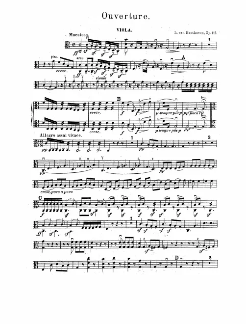 Violas