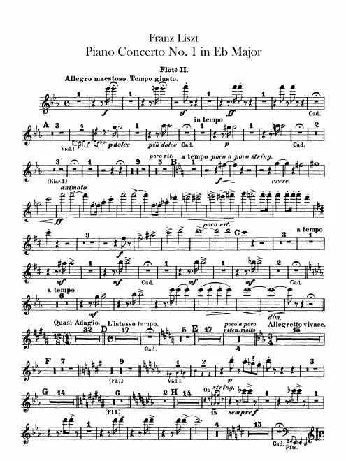 Flute 2