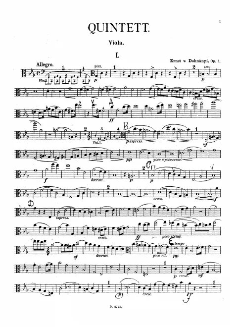 Viola