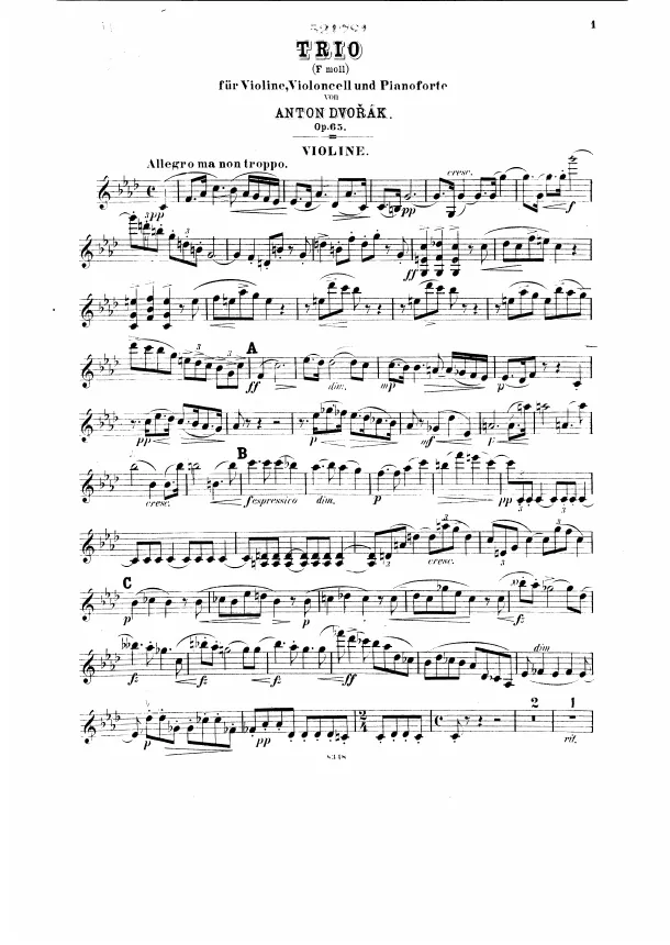 Violin