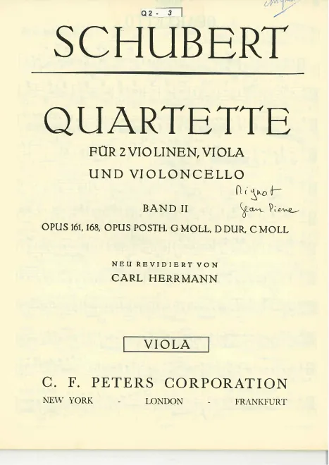 Viola