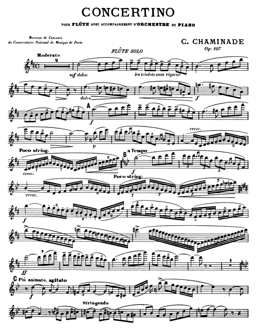 Flute Solo (letter-sized, cropped)