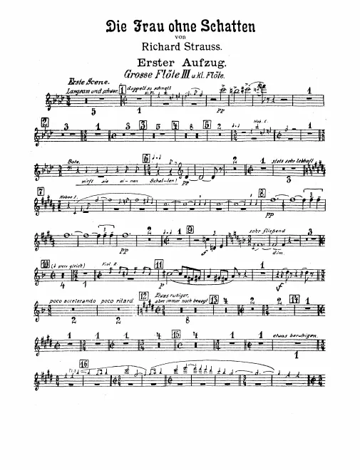 Flute 3/Piccolo 1