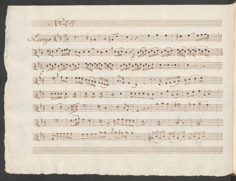 Viola