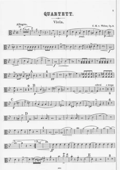 Viola