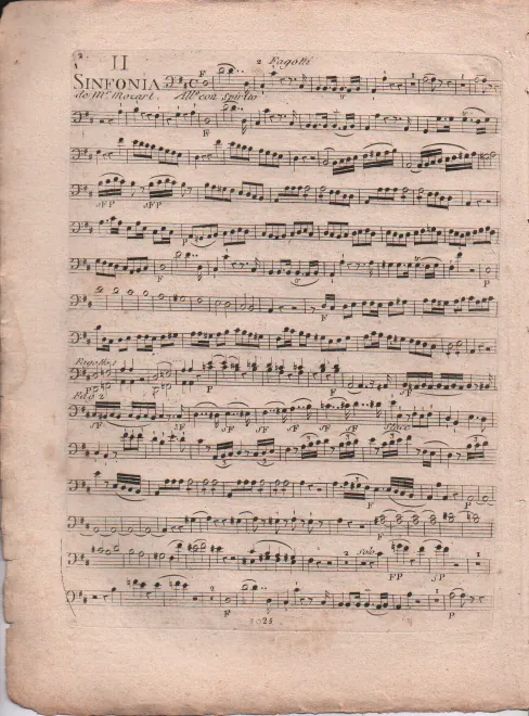 Bassoon 1/2