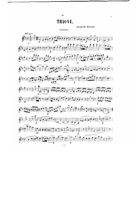 Violin