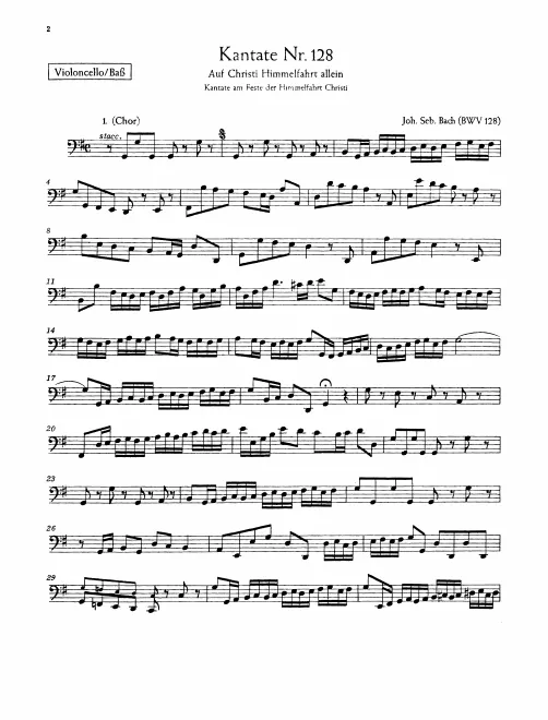 Cellos/Basses