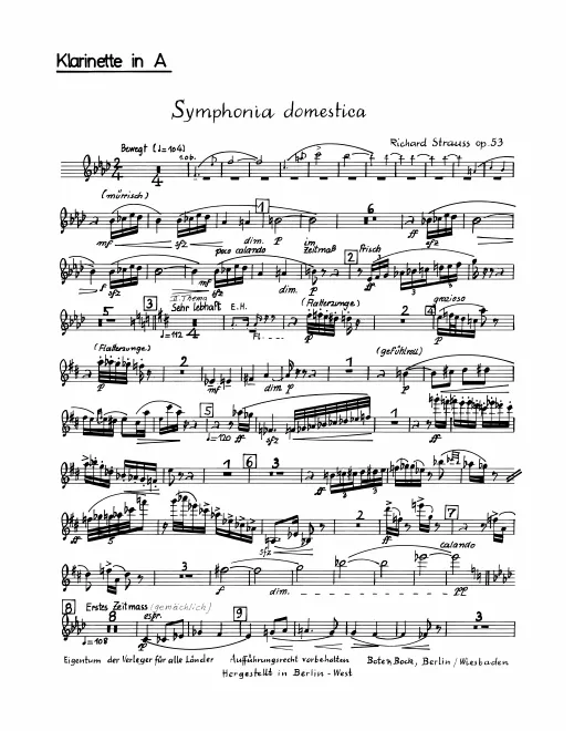 Piccolo Clarinet (A)