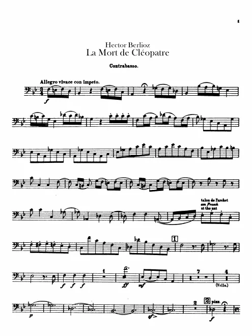 Basses