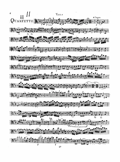Viola