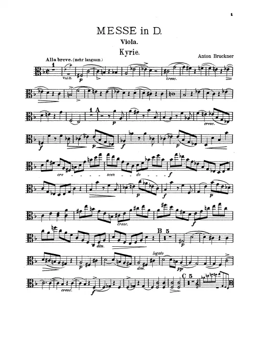 Violas