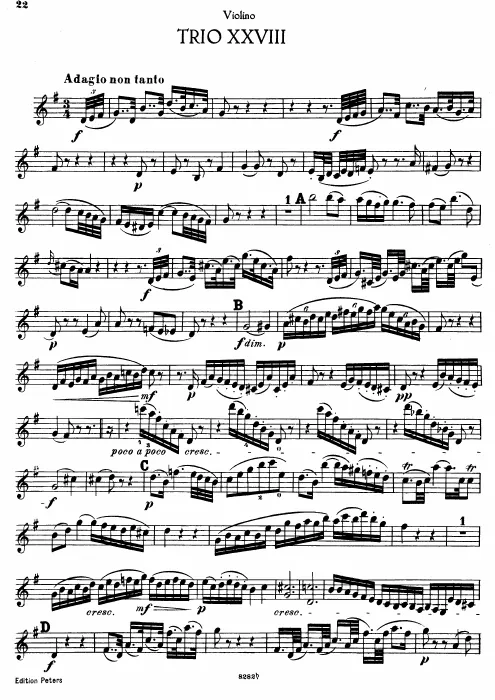 Violin