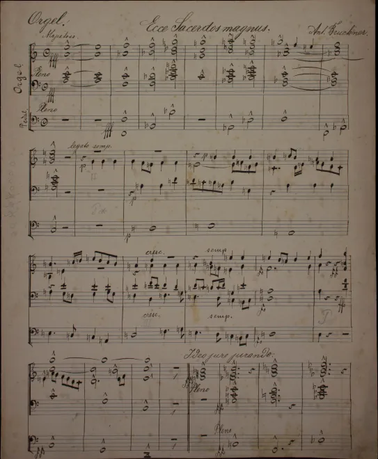 Organ