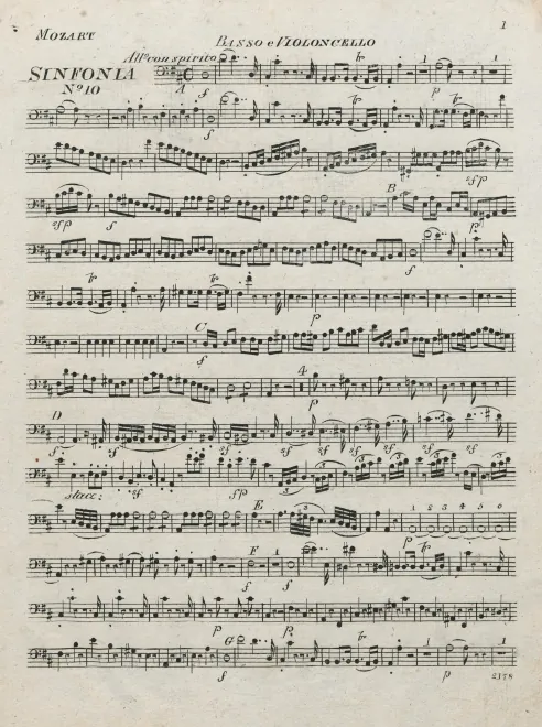 Cellos/Basses