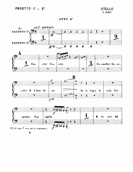 Bassoon 1/2