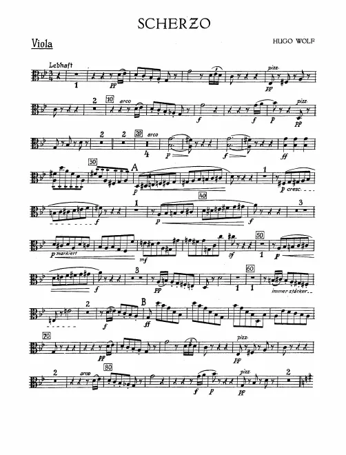 Violas