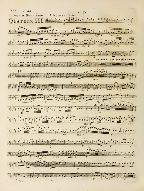 Viola
