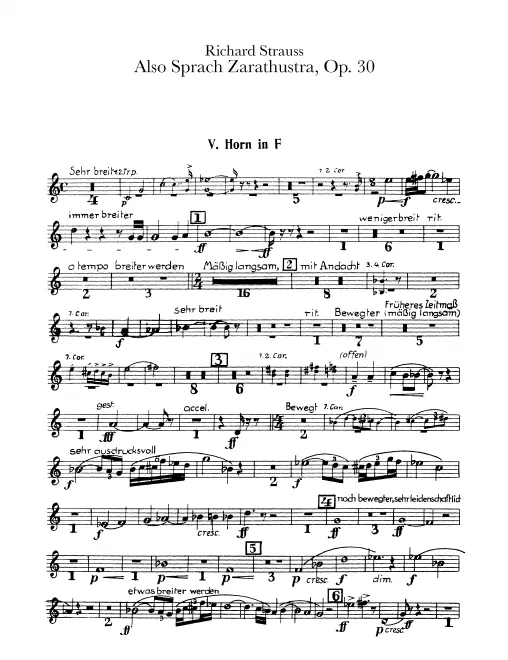Horn 5 (E/F)