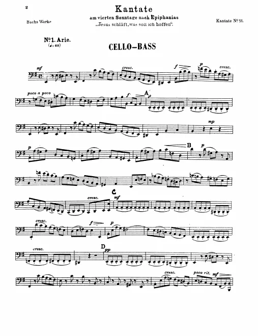 Cellos/Basses