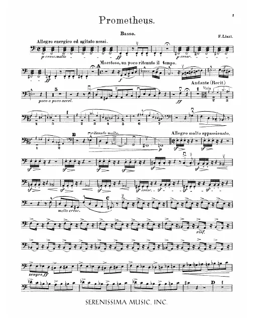 Double Basses