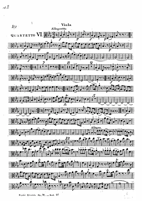 Viola