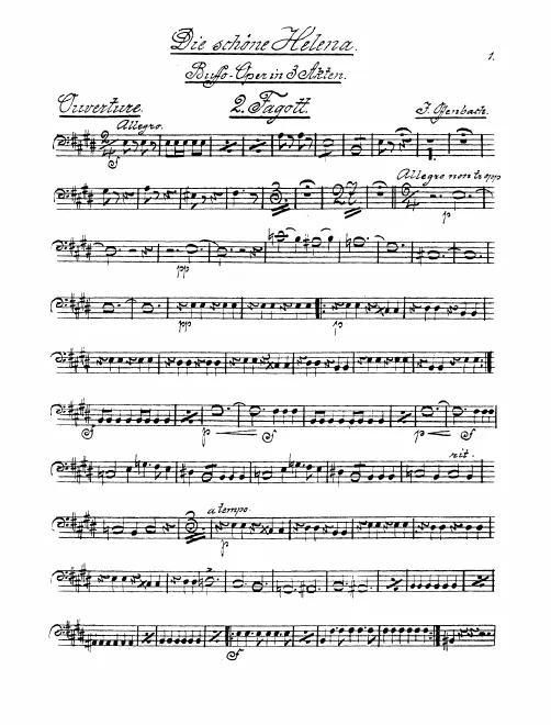 Bassoon 2