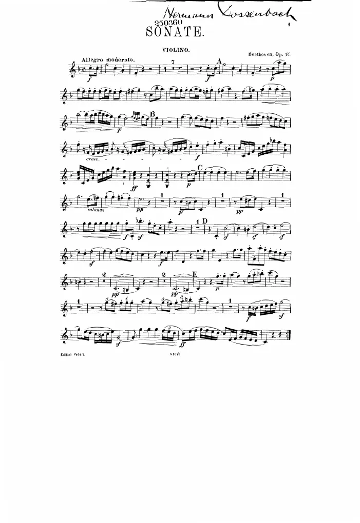 Violin