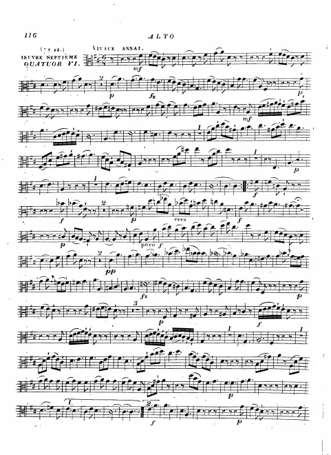 Viola