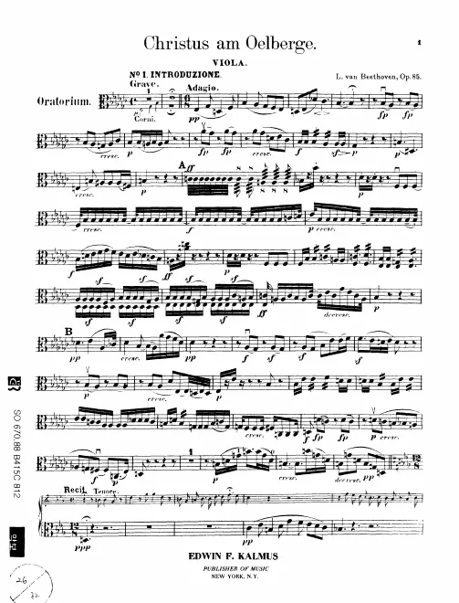 Violas