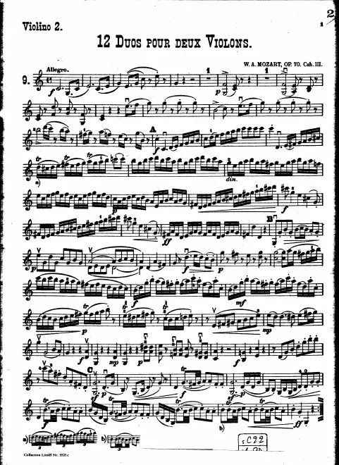 Violin 2