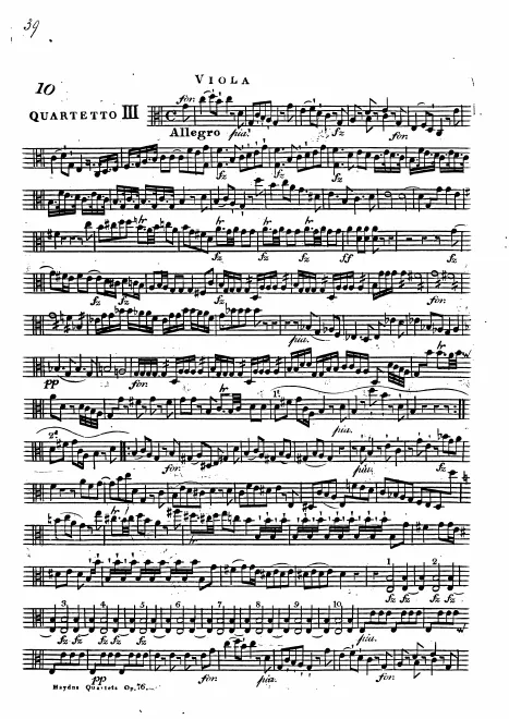 Viola