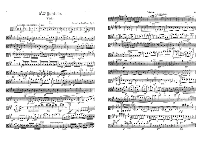 Viola