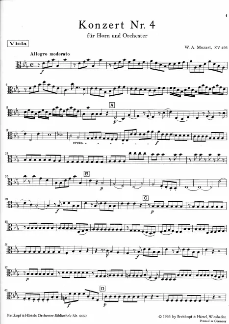 Violas