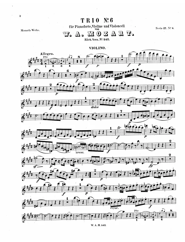 Violin