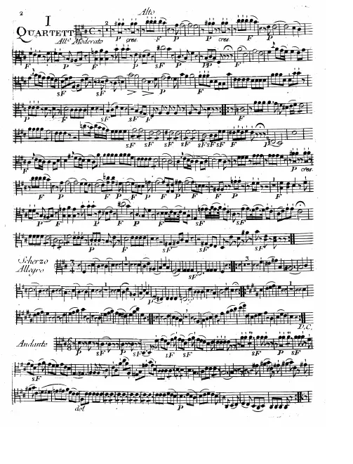 Viola