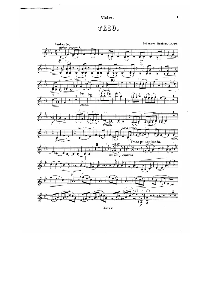 Violin