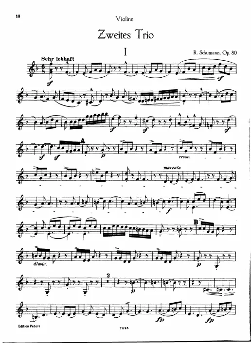 Violin