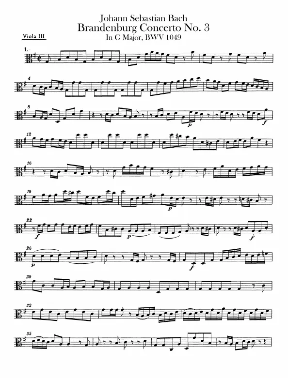 Viola 3