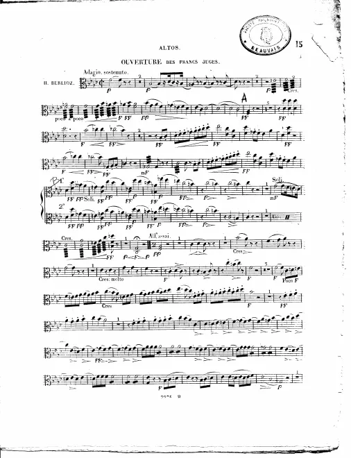 Violas