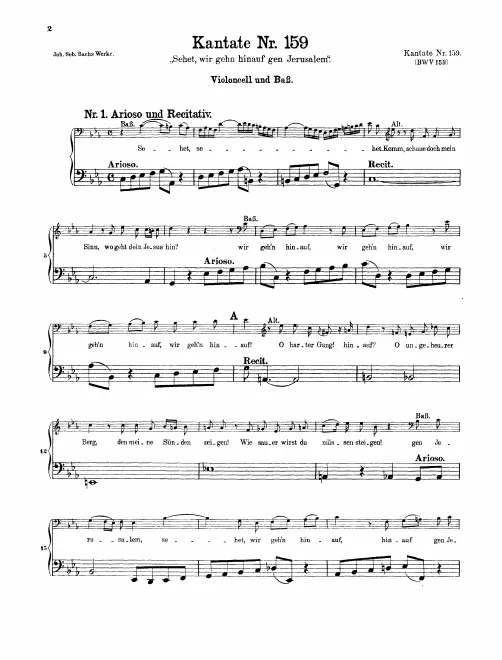Cellos/Basses