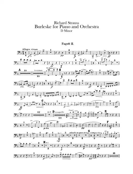 Bassoon 2