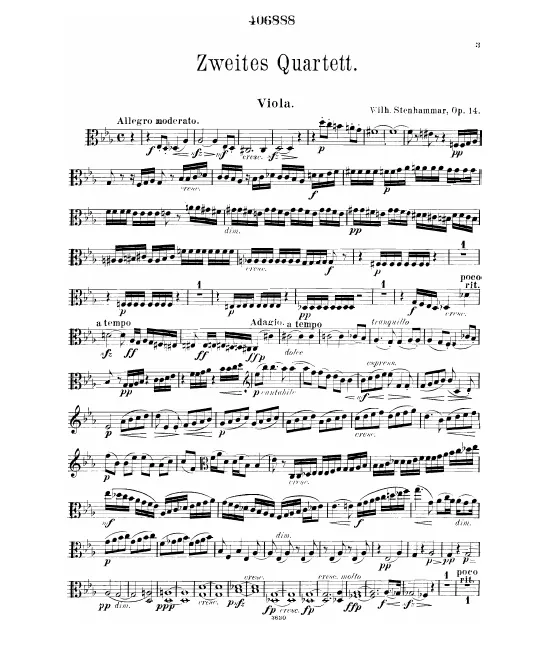 Viola