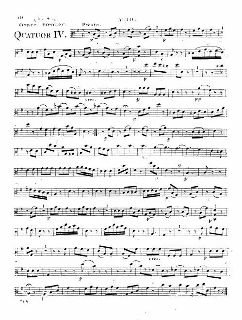 Viola