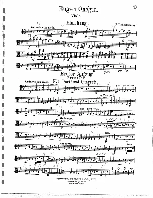 Violas