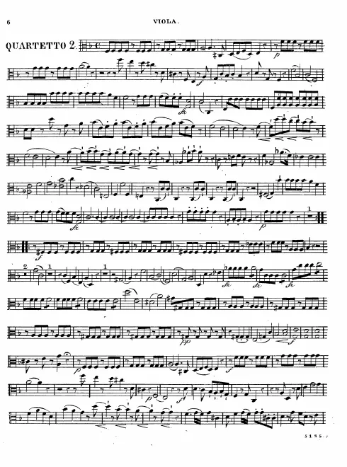 Viola