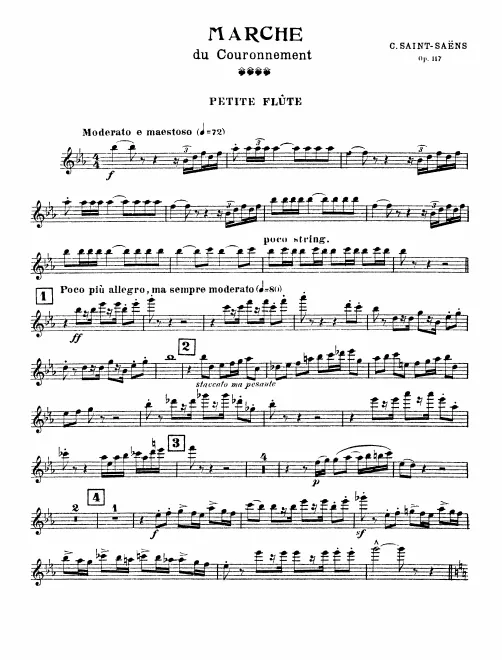Piccolo, Flute 1/2