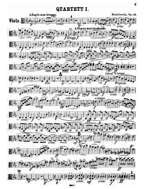 Viola