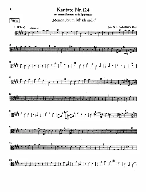 Violas