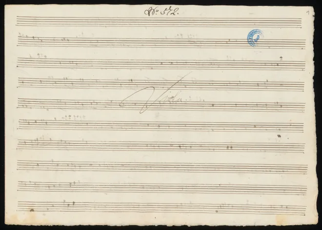 Viola
